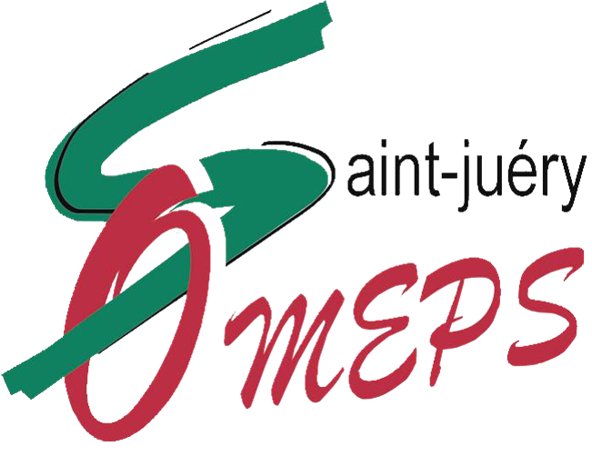 Logo OMEPS.png