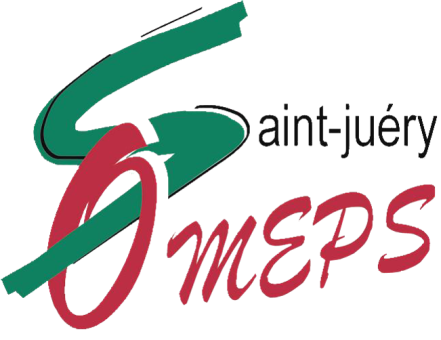 Logo OMEPS.png